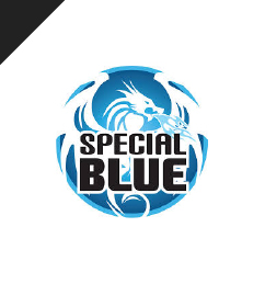 Special Blue